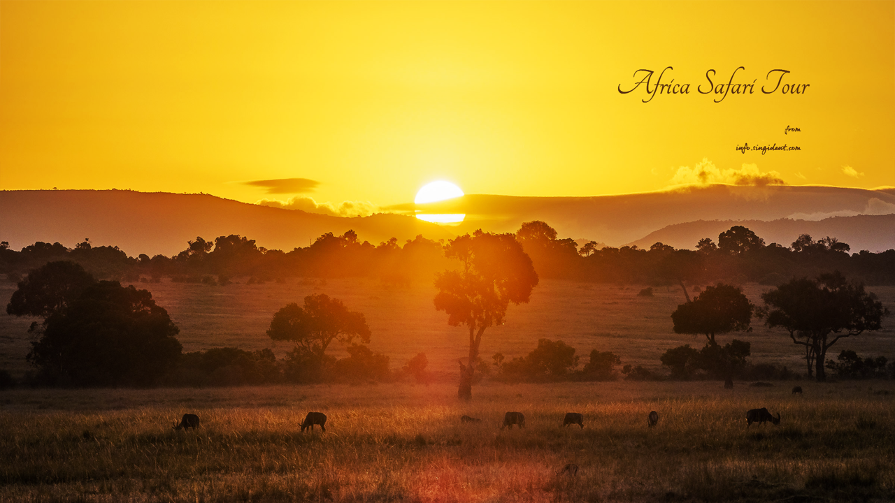 13 마사이마라의 일몰 C - Africa Safari Tour 아프리카배경화면