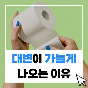 가는 똥 이유와 똥이 가늘게 나오는 이유 분석_10