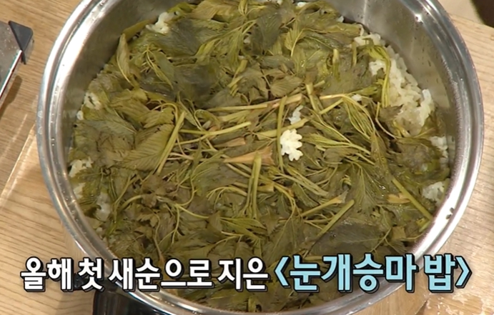 눈개승마 먹는법