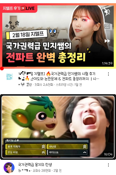 요즘유행하는밈 국가권력급