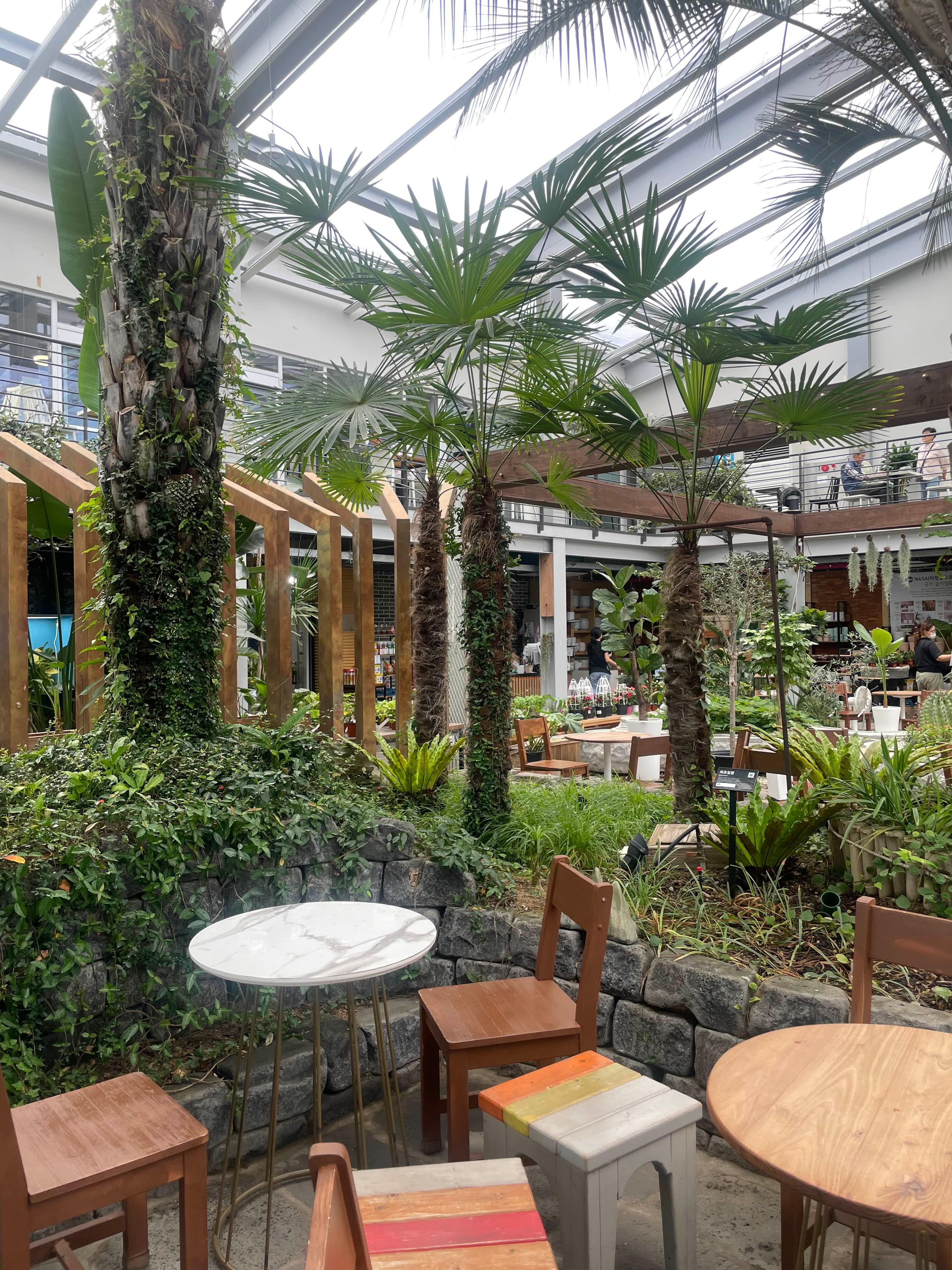 포항 산림조합 숲카페 방문 후기