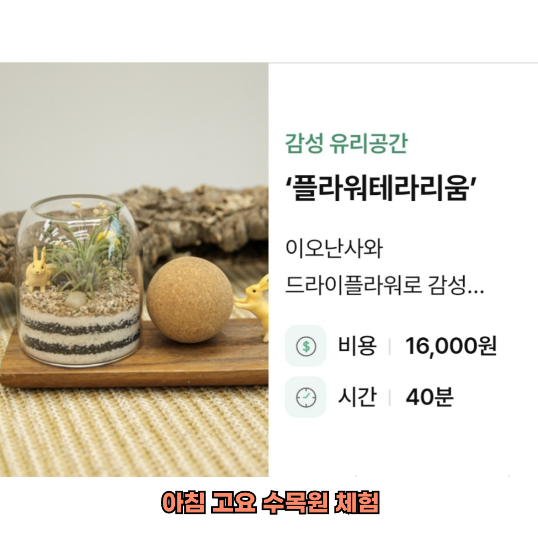 아침고요수목원 체험