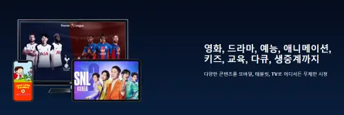 쿠팡플레이