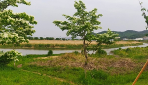 부산 차박하기 좋은 성지 TOP 5곳