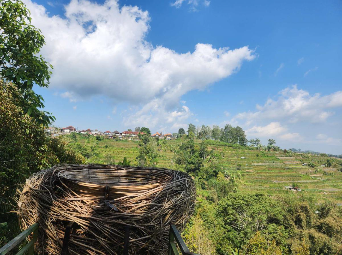 인도네시아 발리 여행