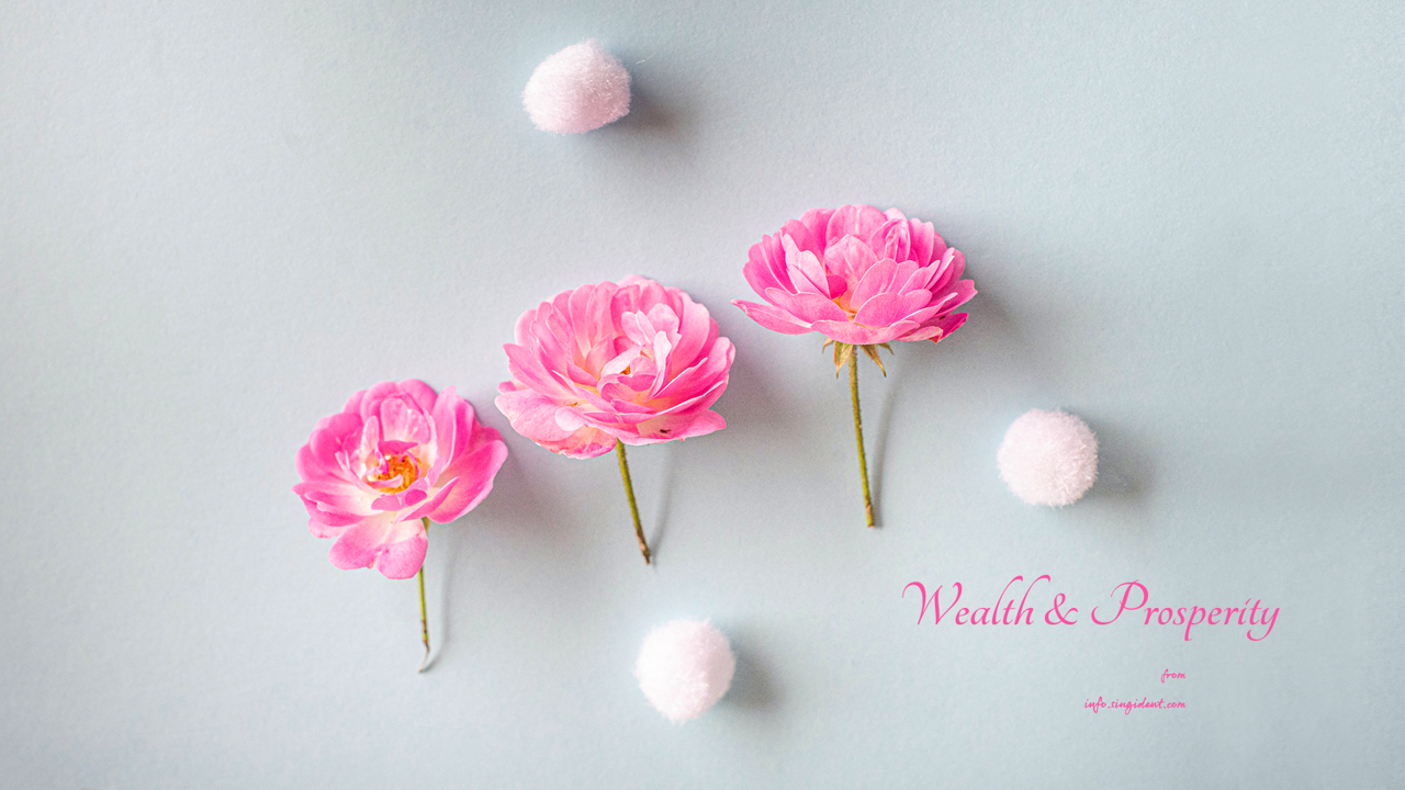 08 모란꽃 세송이 C - Wealth and Prosperity 복들어오는배경화면