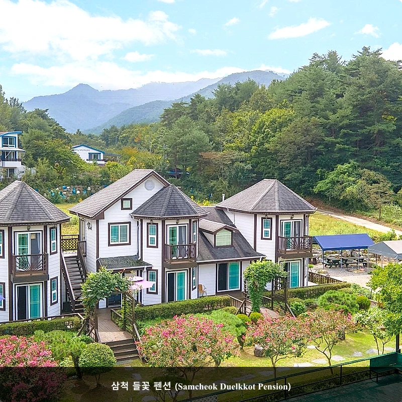 삼척 들꽃 펜션 (Samcheok Duelkkot Pension)_1