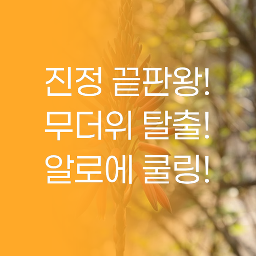 무더위에 지친 피부 진정 끝판왕, 알..