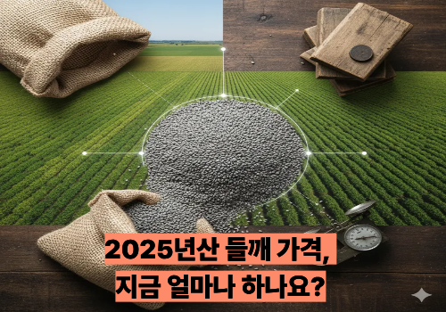 2025년산 들깨 가격, 지금 얼마나 하나요?