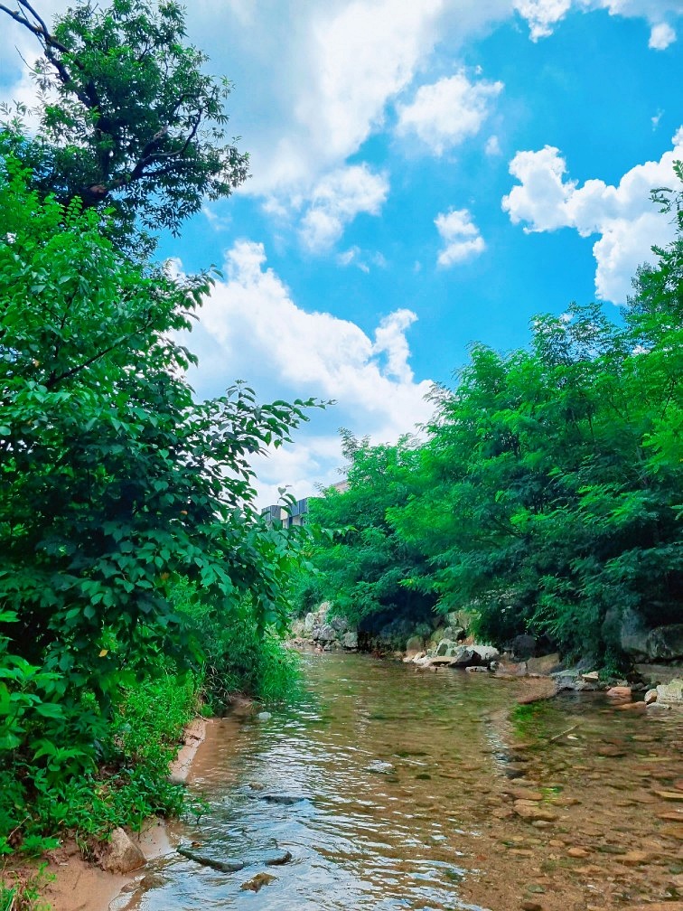 서울근교 계곡 추천: 송추계곡 맛집, 자연을 담은 양주 헤세의 정원
