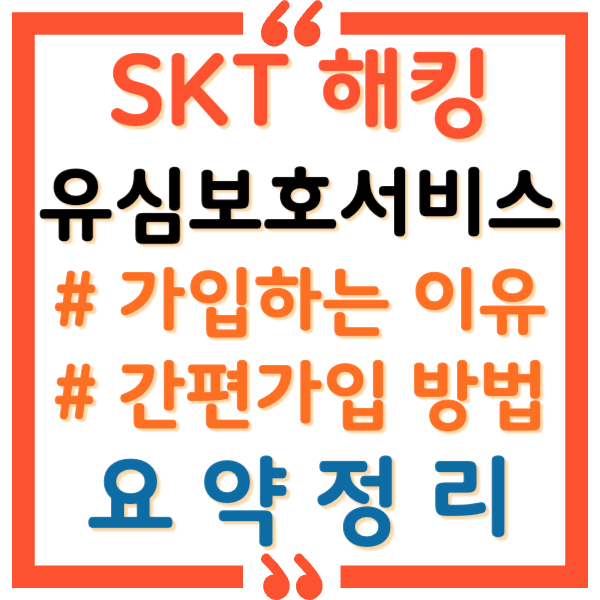 skt 유심보호서비스 요약정리