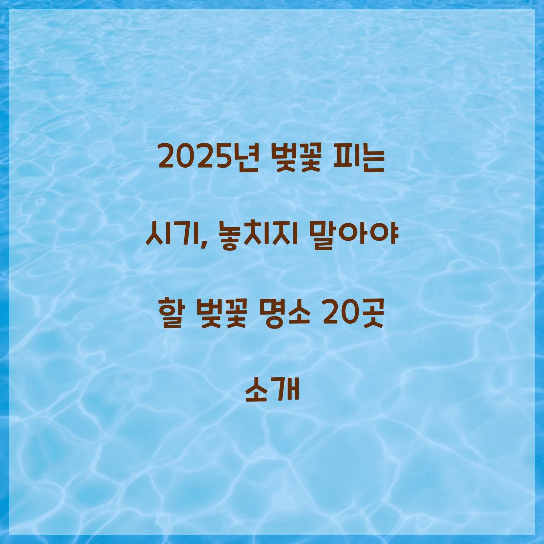 벚꽃 피는 시기