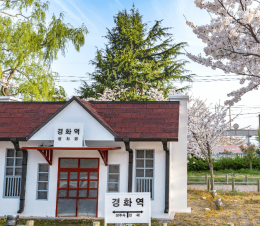 2025 진해군항제 경화역