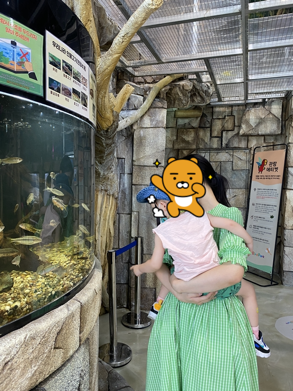 우리나라 민물고기 구경 중