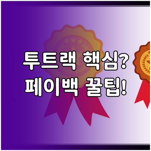 카드 페이백을 위한 간편결제 투트랙 ..