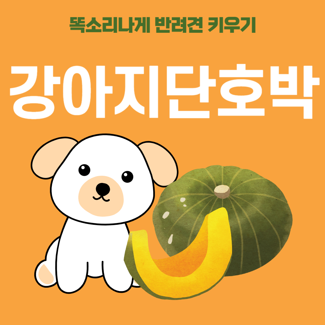 강아지 단호박