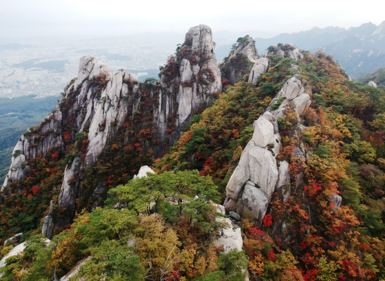 왕이 지나던 길이라는 도봉동 이름의 의미