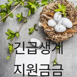 긴급생계지원금