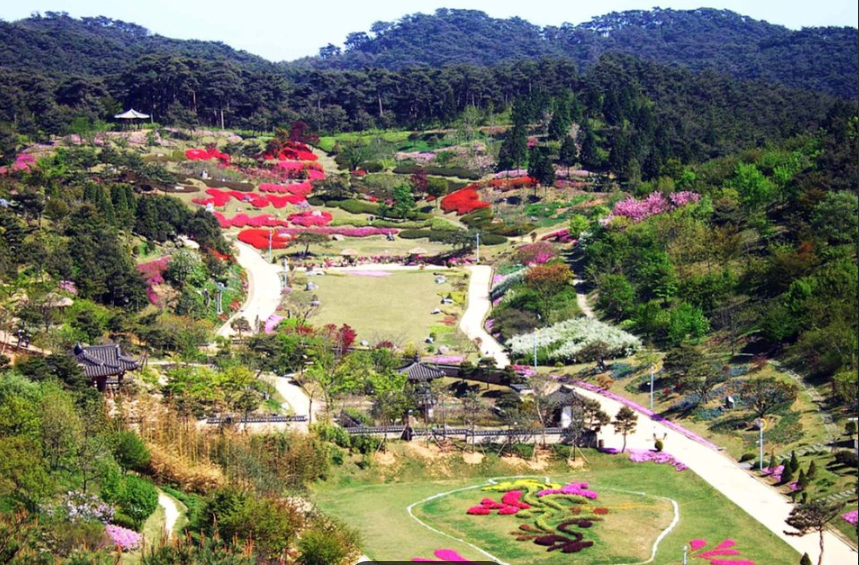 안면도자연휴양림