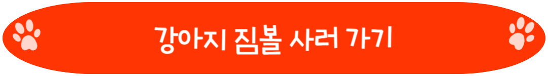 강아지 짐볼