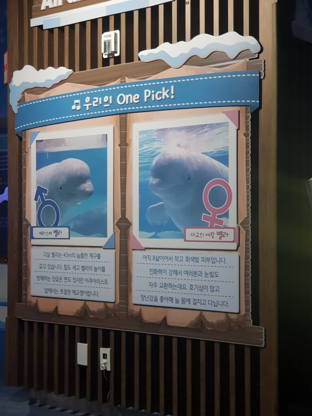 송파구 잠실 놀거리 롯데월드 아쿠아리움 위치 리뷰