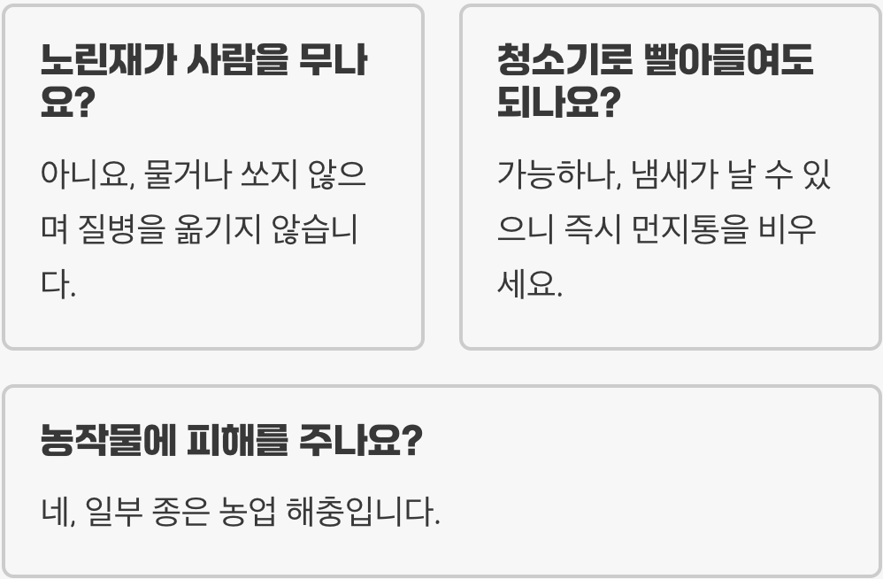 노린재 한 마리, 방충망에 악취 테러합니다 (초기 박멸법)