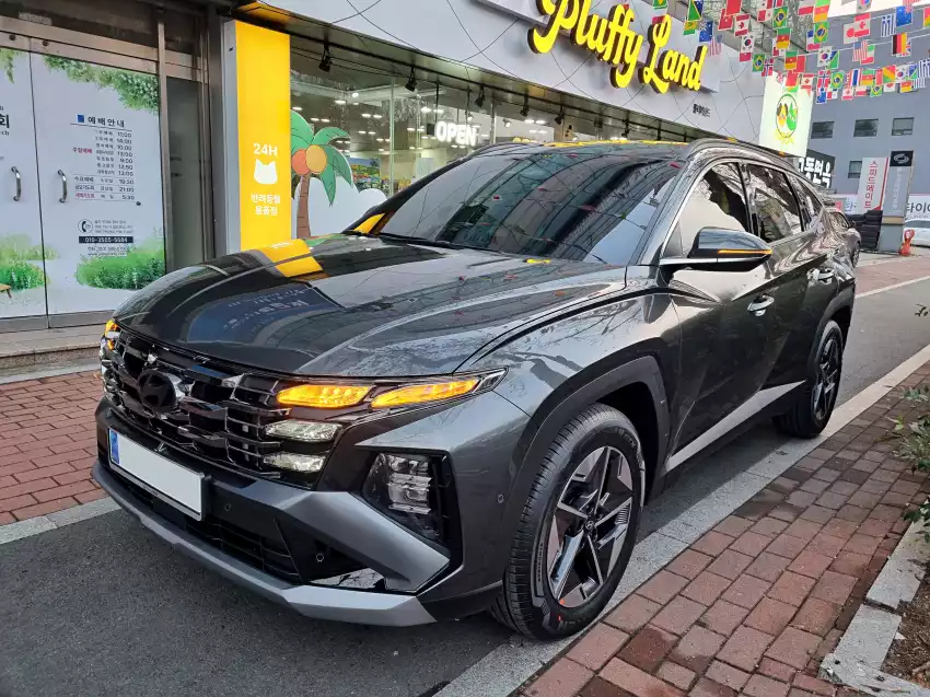 더 뉴 투싼에는 루마 버텍스 900, 버텍스 700 틴팅 필름이 시공됐습니다.