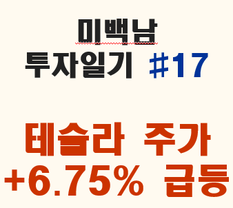 5/12일 테슬라의 주가가 6.75% 급등했습니다