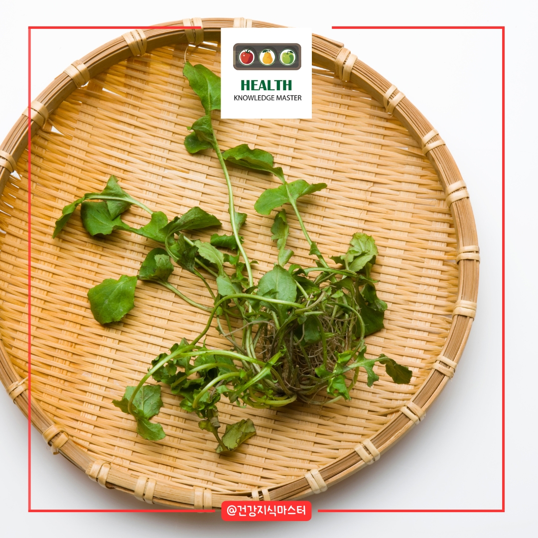 2월에 심는 작물 10가지 - 냉이