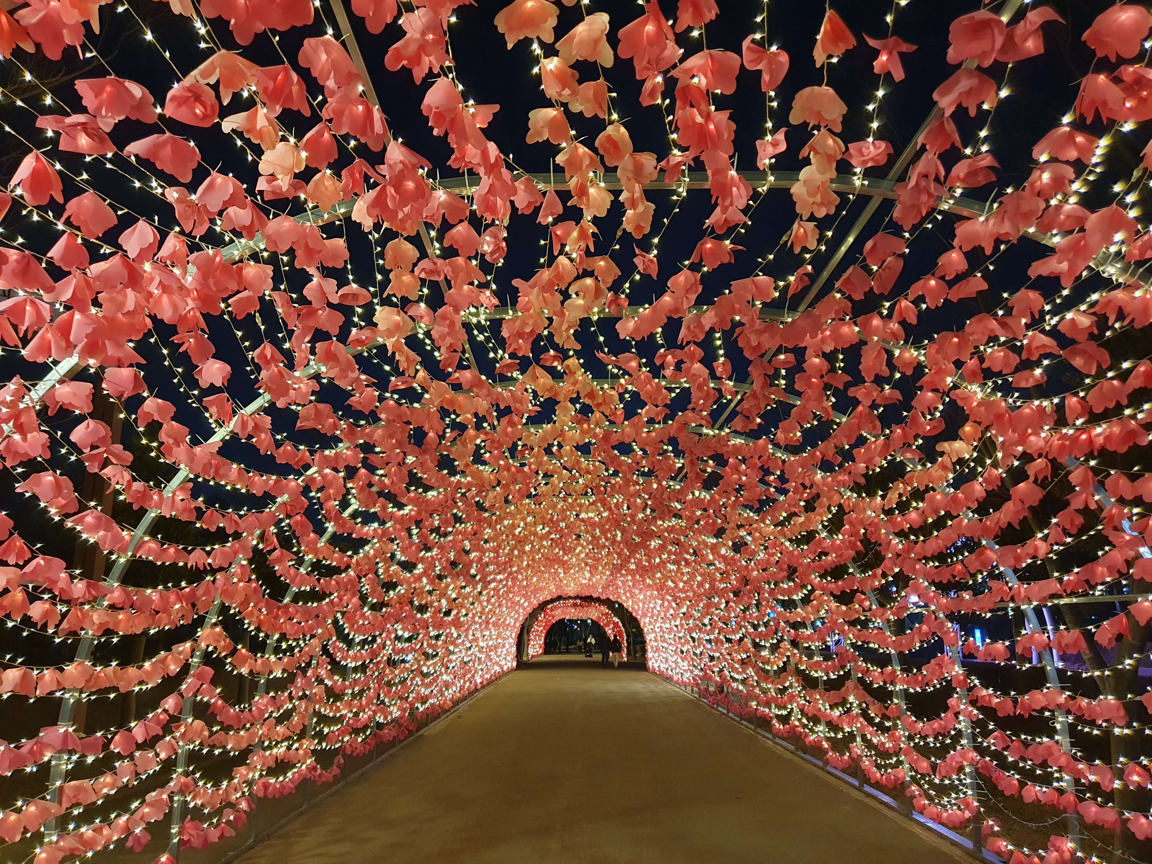 제3회 부산 희망드림 빛 축제-배롱나무꿈꽃빛터널