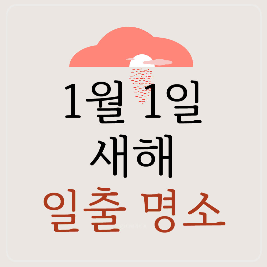 1월1일 새해 일출명소 일출보는곳 일출유명장소 일출장소 새해일출