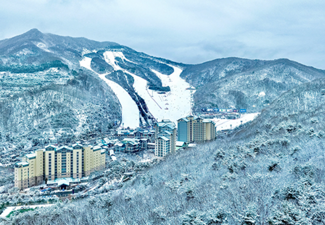 곤지암 리조트 스키장