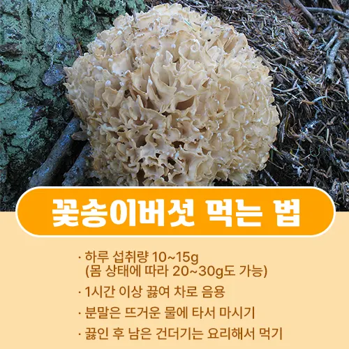 꽃송이버섯 먹는법
