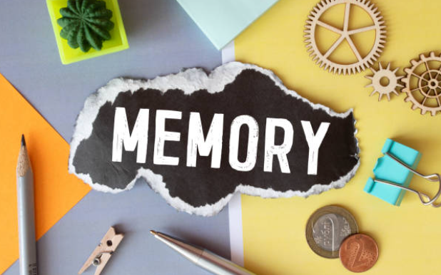 기억력 좋아지는 법 (과학적 접근, 실천 방법) 관련 이미지
