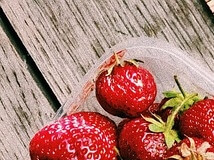 혈액 순환에 좋은 영양제