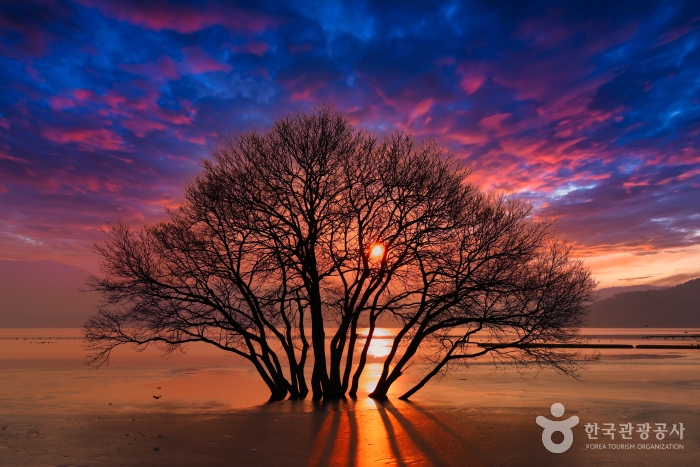 예산 예당저수지