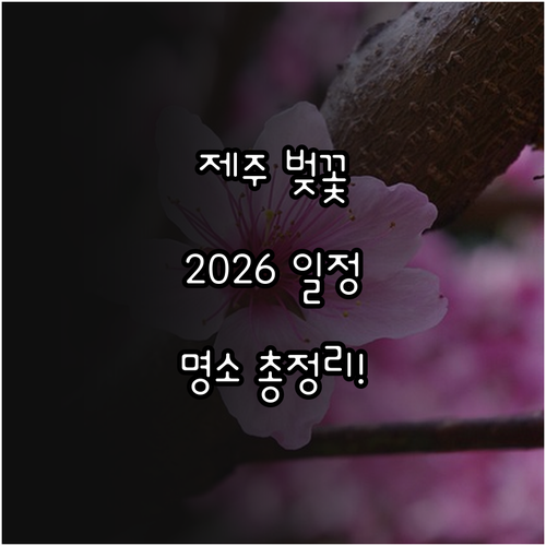 2026 제주도 벚꽃 개화 일정과 명..