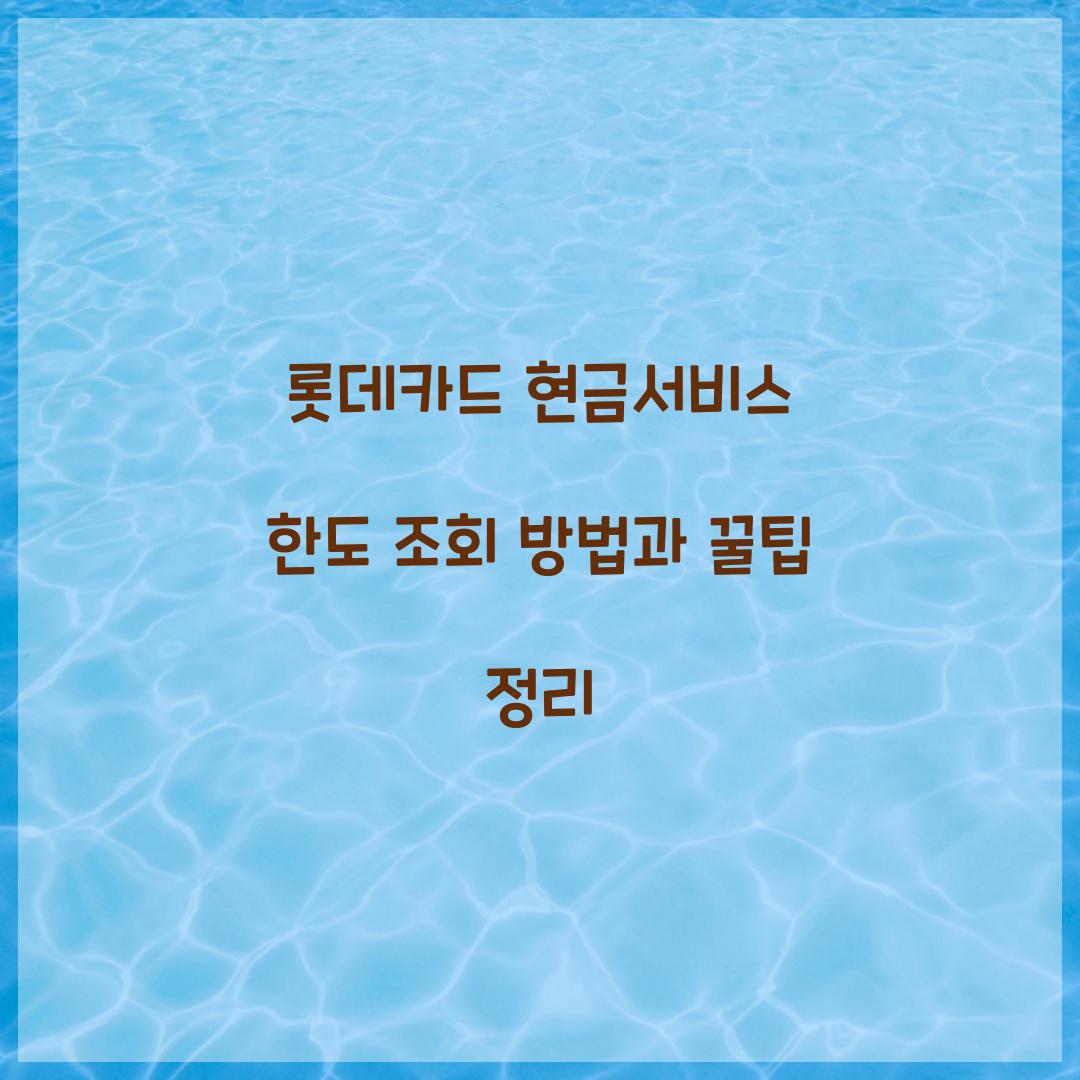 롯데카드 현금서비스 한도 조회