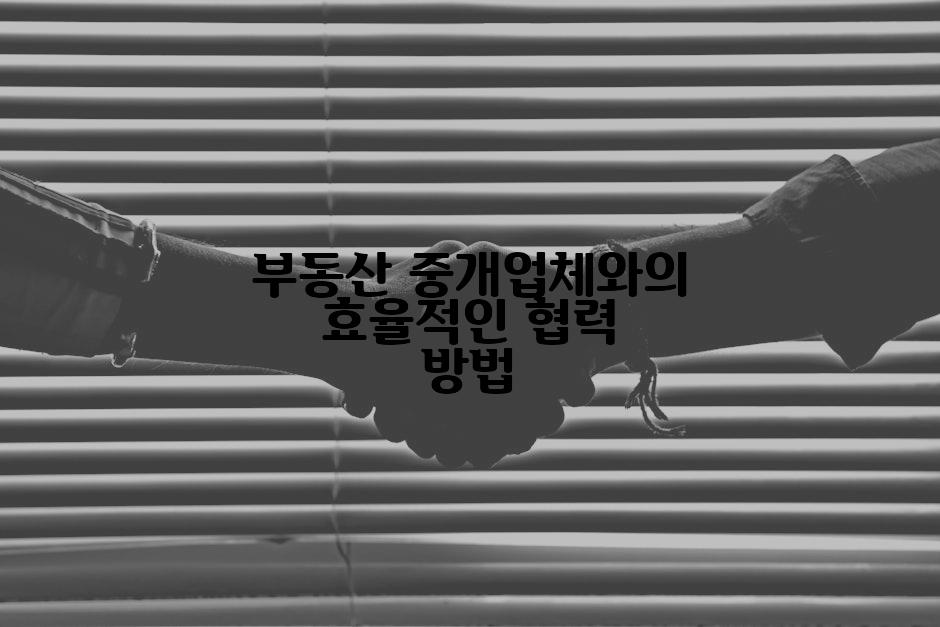 부동산 중개업체와의 효율적인 협력 방법