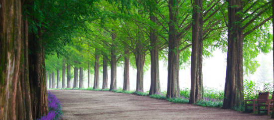 국내여행 한국의 아름다운 여행지