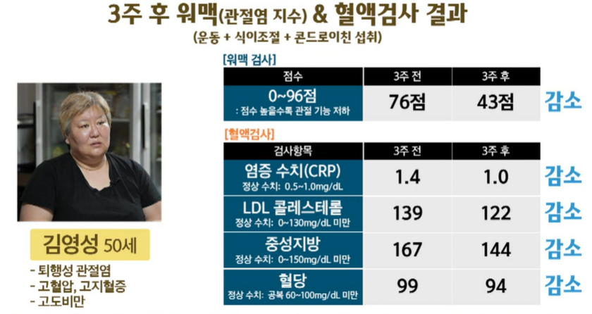 콘드로이친 효능