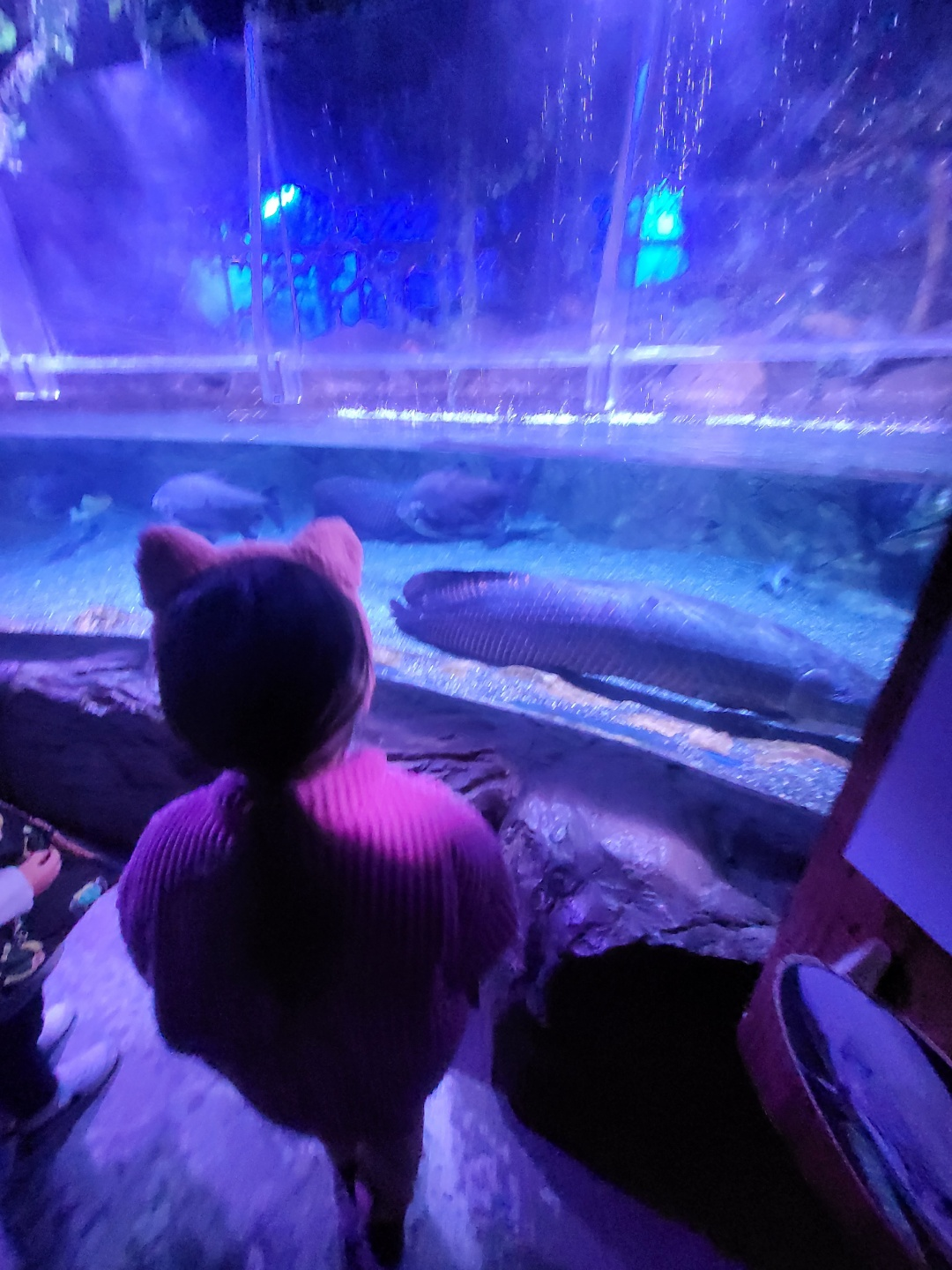 부산 아쿠아리움