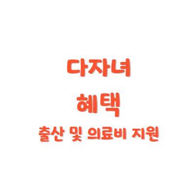 다자녀 출산 및 의료비 지원