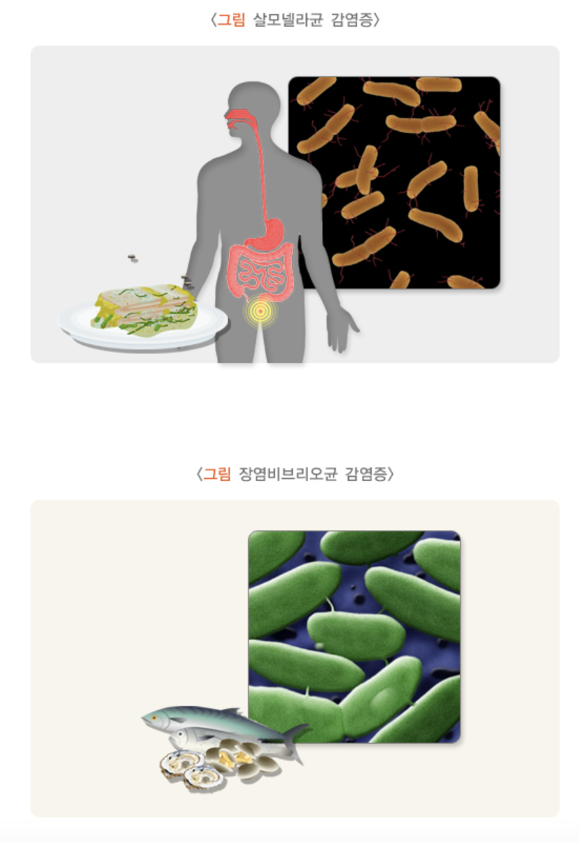 이외의 세균에 의한 감염증