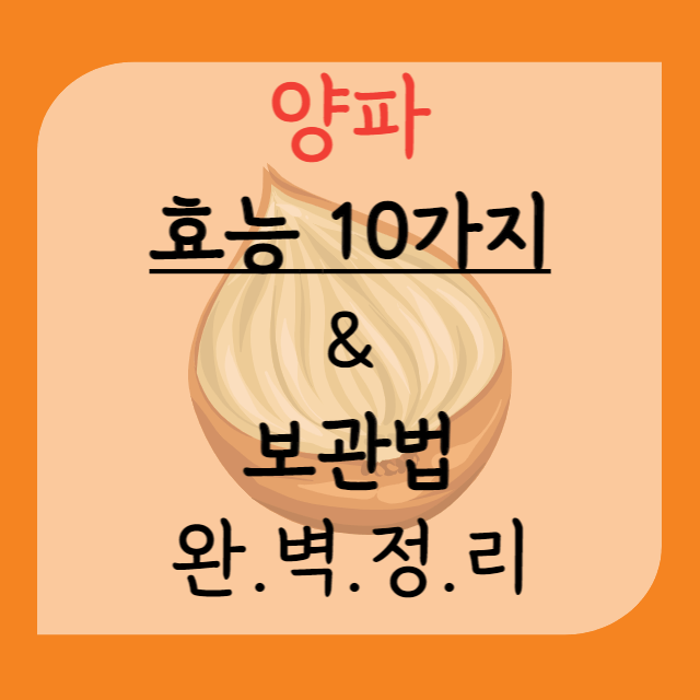 양파-효능-10가지-및-보관법-고르는법-안내-포스터