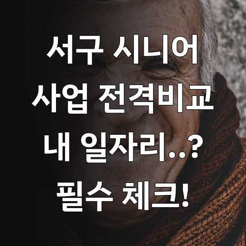 광주 서구 시니어클럽 공익활동 사회서..