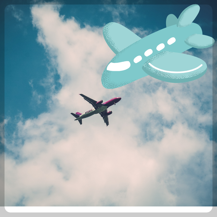 우체국-택배조회