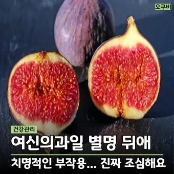 무화과 먹는 방법에 대한 보관팁_9