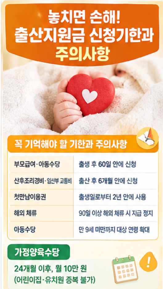 "첫 아이 하나로 420만 원?" - 2026 동대문구 임신∙출산∙양육지원 받을 수 있는 혜택 총정리
