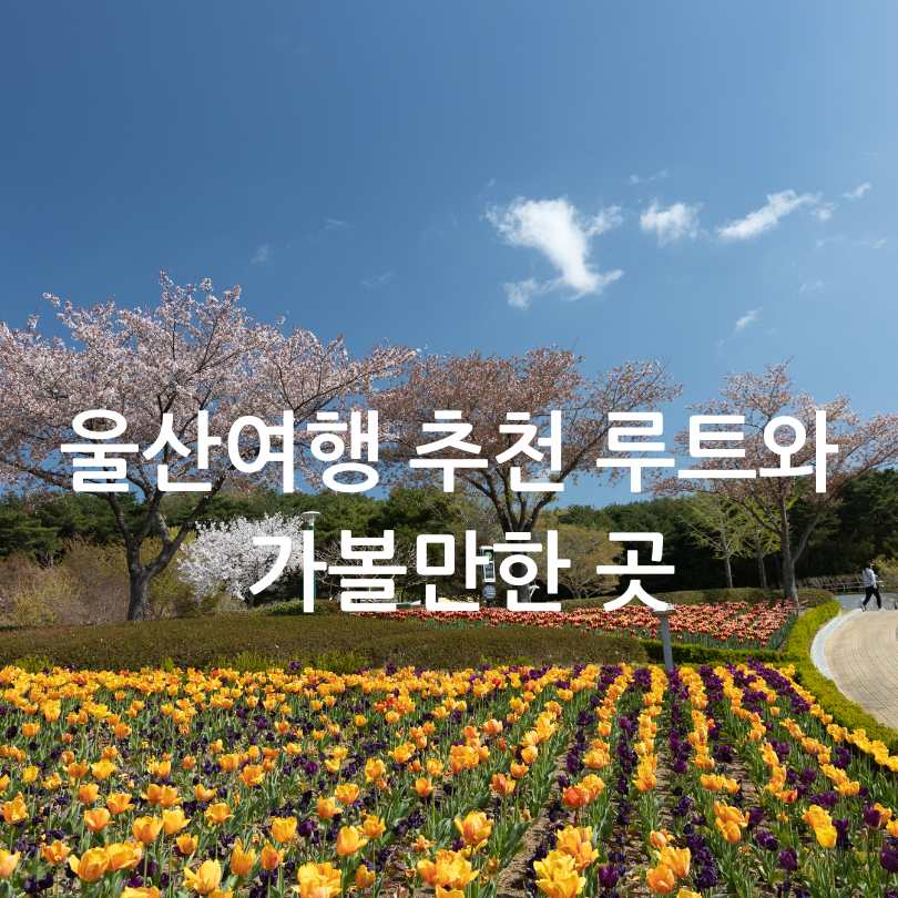 2025 울산조선해양축제 나이트런 일산
